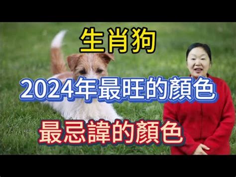 狗 幸運色|2024屬狗幸運色：綠色與紅色助運指南 